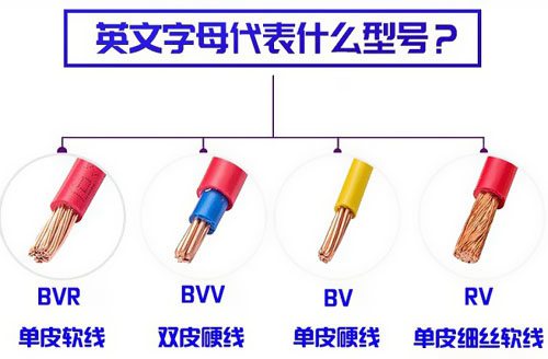 大家对RVV、RVB、RVS了解多少 